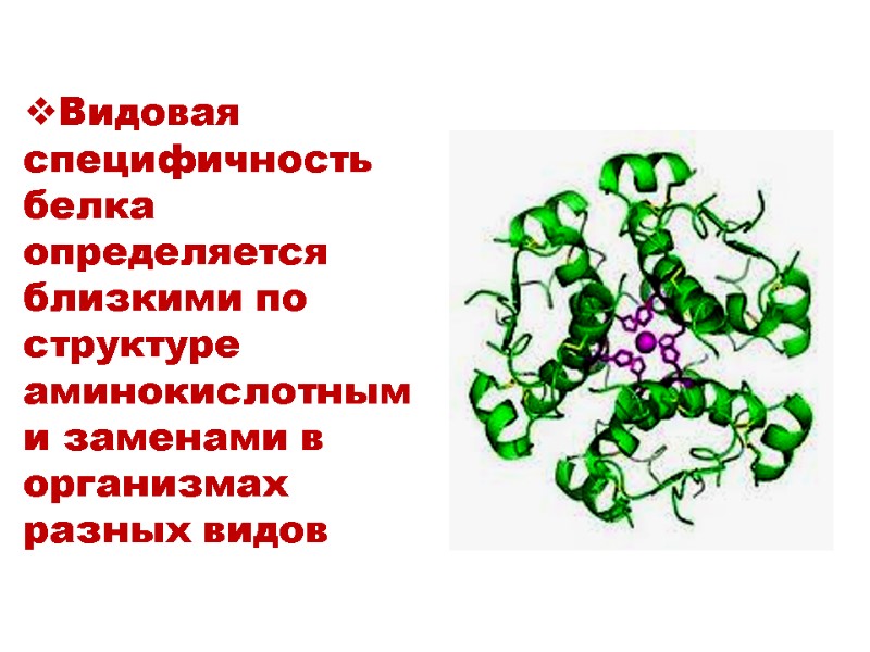 Видовая специфичность белка  определяется близкими по структуре аминокислотными заменами в организмах разных видов